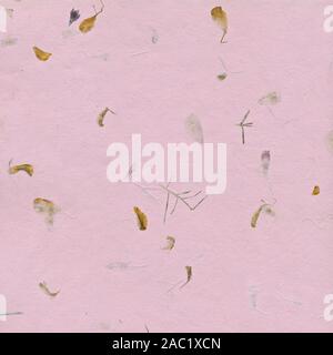 Rosa Papier Hintergrund mit getrockneten Pflanzen Stockfoto