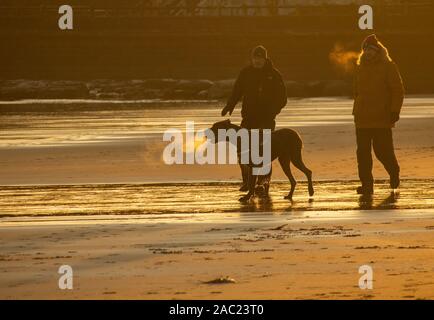 Tynemouth, England, UK. 30. November 2019. Wetter: Hund Spaziergänger auf Longsands Strand An einem frostigen, Sub Zero Samstag am Tynemouth an der nordöstlichen Küste. Credit: Alan Dawson/Alamy leben Nachrichten Stockfoto