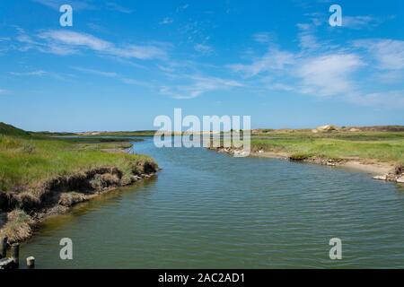 Naturpark Zwin, Knokke-Heist, Belgien, Landschaft Foto auf die Dünen und ein Salz Wasser Bach im Park Stockfoto