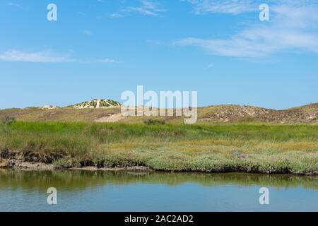 Naturpark Zwin, Knokke-Heist, Belgien, Landschaft Foto mit den Dünen als Hintergrund und Vordergrund Salzwasser Stockfoto