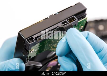 Schließen Sie die Festplatte an den Computer an. Close-up. weißen Hintergrund. Stockfoto