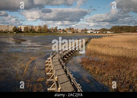 Holz- Pfad zum See mit Vogel Aussichtsturm in Liepaja, Lettland. Stockfoto