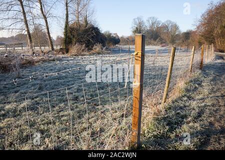 Frosty Paddock Zaun Stockfoto