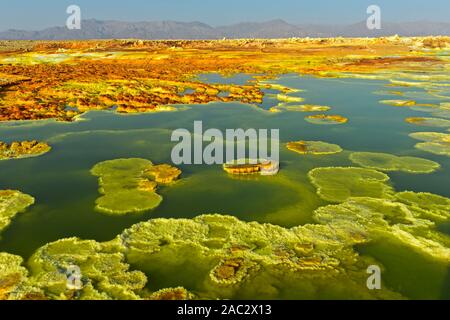 Kristallisiert Sulfide in einem sauren Sole-pool, geothermische Feld von Dallol, Danakil Depression, Afar Dreieck, Äthiopien Stockfoto