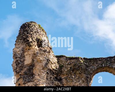 Ruiniert Chapter House, Reading Abbey Ruinen, Abby Viertel, Reading, Berkshire, England, UK, GB. Stockfoto