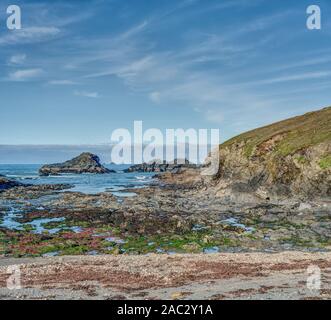 Ein kornisches Wild/natürlichen Strand befindet sich an der atlantischen Nordküste Schritte nicht weit von Bedruthen und Porthcothan. Porthmear Cove ist voll von Meer Tierwelt Stockfoto