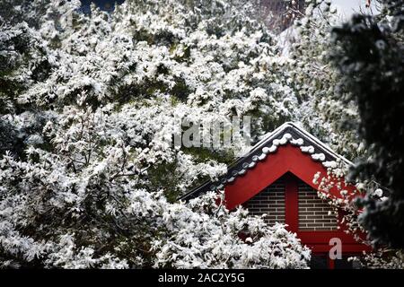 Bäume mit Schnee an der Jingshan Park nach dem ersten Schneefall in diesem Winter in Peking, China, am 30. November, 2019 abgedeckt. Beijing verzeichnete ihren fir Stockfoto