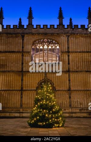 Weihnachtsbaum in den Schulen Viereck am Abend. Bodleian Library, Oxford, Oxfordshire, England Stockfoto