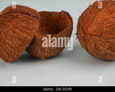 Eine ganze Kokosnuss und eine auf blauem Hintergrund gebrochen. Future Food Bowls Zero Waste. Umweltfreundliches Material für Geschirr. Speicherplatz kopieren. Stockfoto