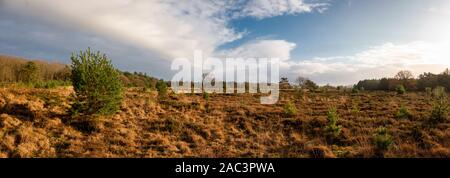 Panorama Landschaft der Heide- und Moorlandschaft in den Niederlanden, Provinz Drenthe in der Nähe des Dorfes Steenbergen Stockfoto