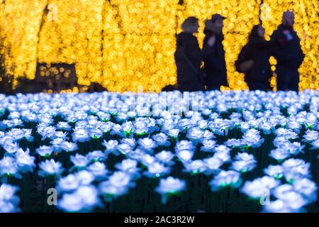 London, Großbritannien. 30. November 2019. Rosen in der 'Je nach Garten', die für die Öffentlichkeit im Grosvenor Square eröffnet hat. Von Anya Hindmarch und Camilla Morton in Erinnerung an ihren Freund entworfen und top Production Designer Michael Howells, die Je nach Garten besteht aus einem Raum mit über 27.000 beleuchtete weiße Rosen gefüllt. Besucher können die Pflanze eine Rose in Erinnerung an geliebte Menschen verloren haben, die Kosten für jede Rose helfen, Kapital für die Royal Marsden Krebs Nächstenliebe anzuheben. Der Garten ist bis 22. Dezember. Credit: Stephen Chung/Alamy leben Nachrichten Stockfoto