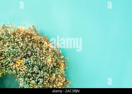 Kranz aus natürlichen Blumen mit Girlande Lichter auf blauem Hintergrund Stockfoto