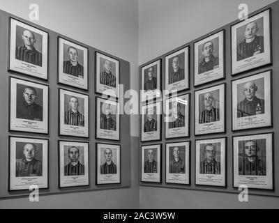 Auschwitz, Oświęcim, Polen - Juni 05, 2019: Fotogalerie von Portrait von Gefangenen in Auschwitz-Birkenau State Museum. Auschwitz Birkenau ns-Konz Stockfoto