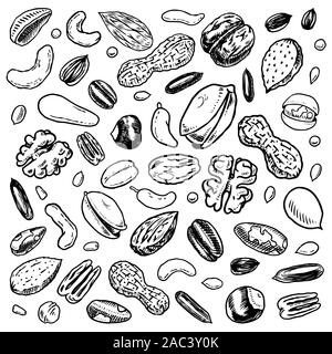Muttern mix Hintergrund. Samen und Granulat, Mais und Getreide. Haselnuss, Walnuss, Mandeln. Essen Konzept. Ansicht von oben. Vintage Poster. Graviert hand gezeichnete Skizze Stock Vektor