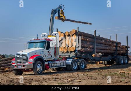 Ein Mack Granit ist mit Loblolly Pine, November 16, 2016, Tracy's Anmelden Steadham, South Carolina geladen. Wird die Last weiter mit Georgia-Pacific. Stockfoto