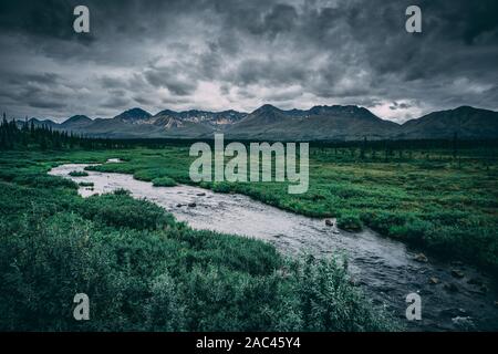 Fluss und Pinien und schneebedeckten Bergen im Hintergrund, Alaska Stockfoto