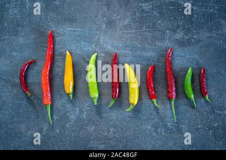 Chili peppers, verschiedene Farben und Form. Gelbe, orange, grüne und rote Paprika Stockfoto