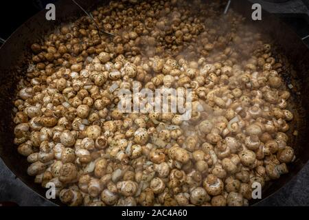 In einer riesigen Pfanne, lecker Knoblauch Pilze sind bereit Stockfoto