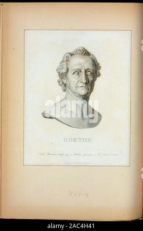 Goethe Illustriert von Thomas Addis Emmet, 1880. Band 2 besteht aus Seiten 1-99 von 1865, quarto, Ausgabe der Arbeit, Band 3, Seiten 99-213, Band 5, Seiten 303-400. EM 12160; Goethe. Stockfoto