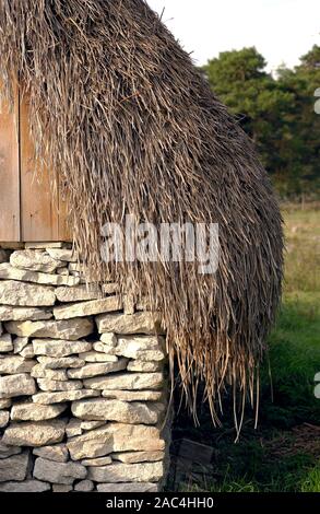 AJAXNETPHOTO. GOTLAND, SCHWEDEN. - Traditionelle BAUERNHAUS - GRAS GEDECKT UND TROCKENEN STEINMAUER AUF KLEINE landwirtschaftliche Gebäude. Foto: Jonathan Eastland/AJAX REF: D1X 81908 1316 Stockfoto