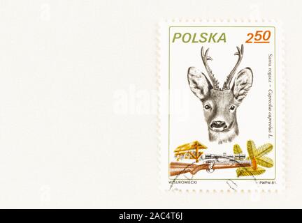 SEATTLE, Washington - Oktober 9, 2019: Konzeptuelle Stempel der Polen, mit Bildern von Rehen, Fütterung und Jagd Gewehr. Scott #2453 1981 Jagd Ausgabe Stockfoto