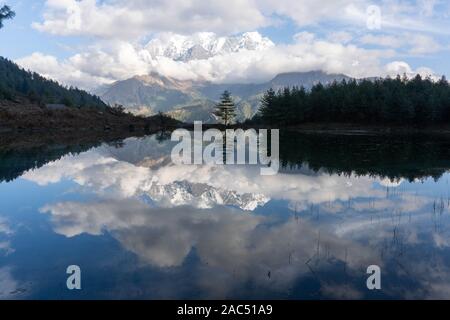 Ein einsamer Baum in einem ruhigen See spiegeln. Sekong See, Annapurnas. Stockfoto