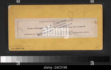 Gruppe der Dampfschiffe am Schiff Simonson's Yard, Fuß von 12th Street umfasst einerseits - farbige Anzeigen. Robert Dennis Sammlung von stereoskopische Ansichten. Einige Ansichten haben steuerstempel angebracht. Titel von Cataloger'. Blick auf den Hafen von New York: Fähren, Segelschiffe, Piers und Kaianlagen, Dampfschiffe, einschließlich der Vorsehung und mit Blick auf den Innenbereich, schwebenden Getreidesilos, Lastkähne, Werften, Männer aus dem französischen Mann-von-Krieg Landung in einem dory an der Batterie, die US Barge Office und den Versand news Büro des New York Herald, der Fuß der Whitehall Street, Soldaten auf einen italienischen Mann-von-Krieg mit Stockfoto