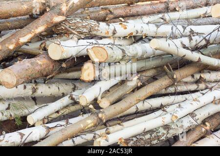 Ein Haufen aufgetürmt, Holz für die Heizung des Hauses vorbereitet. Vorbereitung von Brennholz für den Winter Stockfoto