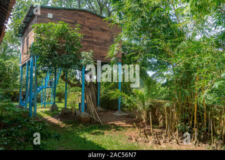 Ein baumhaus Zimmer zum Mieten in Goa Hotel in Indien Stockfoto