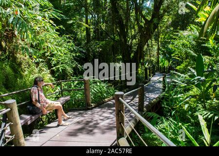 Ein Besucher entspannt im Schatten auf der Promenade in Hawaii Tropical Botanical Garden in Papa' Ikou in der Nähe von Hilo, Big Island von Hawaii. Stockfoto