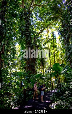 Besucher auf eine Bahn, ein Aufnehmen von Fotos mit Stativ, inmitten von tropischen Pflanzen auf Hawaii Tropical Botanical Garden, Papa' ikou, Big Island von Hawaii Stockfoto