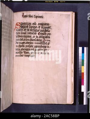 Seite 3; explizite in De Ricci, Seymour, Volkszählung Handschriften des Mittelalters und der Renaissance in den Vereinigten Staaten und Kanada aufgeführt. New York. New York: H.W. Wilson, 1935; und Ergänzen, New York, N.Y.: Bibliographische Gesellschaft von Amerika, 1962. Ownership: Gekauft 18. Dez. 1791 von Nicholas, Abt von Rothen, in der Nähe von Memmingen. Von R.L. Stuart Sammlung, vermachte 1892. De Ricci, 1327. Diagramm von Dr. G.B. Guest. 20 lange Linien, in sehr hellen Bleistift ausgeschlossen. Pergament beleuchteten Initialen mit menschlichen Figuren von Geschichten aus der Bibel. Grenzen enthalten einige Menschen- und Tierfiguren. Miniaturen. Aufwändige Grenze Designs Stockfoto