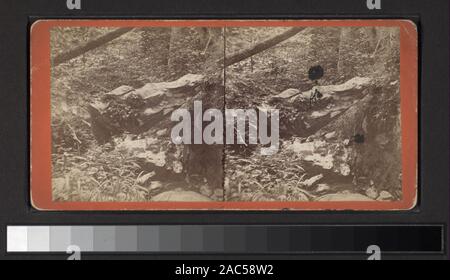Hängende Stein oder natürliche Brücke in die Schlucht, in der Nähe von Brandon House, Greenwood Lake umfasst einerseits - farbige Anzeigen. Blick von D. Barnum, Aaron Veeder, John S. Soule und andere Fotografen und Verlage. Robert Dennis Sammlung von stereoskopische Ansichten. Einige Ansichten haben steuerstempel angebracht. Titel von Cataloger'. Blick auf den Lower Hudson Valley einschließlich Dutchess, Orange, Putnam und Rockland Grafschaften, Bellvale, Catskill, Clarkstown, Cornwall, kalter Frühling, Fishkill-on-Hudson, Fulton, Garnison, Gosen, Highland Falls, Hilburne, Matteawan, Middletown, Nyack, angenehme Tal, Red Hook, Salisb Stockfoto
