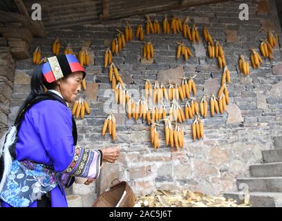 (191201) - SHILIN, Dez. 1, 2019 (Xinhua) - Wang Guangying, 65, arbeitet an ihr Haus in Danuohei Dorf Guishan Township in Shilin Yi Autonomen County, im Südwesten der chinesischen Provinz Yunnan, Nov. 28, 2019. Danuohei Dorf, mit einer Geschichte von über 600 Jahren, ist eine gut geschützte alte Dorf der Yi ethnischen Kultur. Anwohner gebauten Häuser und Straßen mit Steinen, die es einzigartig macht als "Dorf". Es ist von Bergen, Flüssen und der schönen Landschaft umgeben. Das Dorf hat nun 370 Haushalte mit einer Bevölkerung von 1000, von denen 99,8 Prozent der Yi ethnischen Gruppe gehört. Stockfoto