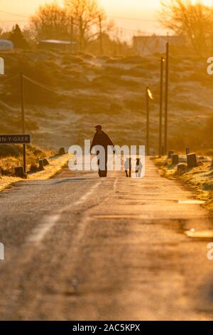 Flintshire, North Wales, UK. 1. Dezember 2019. UK Wetter: Eisnebel und extremer Kälte für viele mit Wetter Warnung. Temperaturen weit unter dem Gefrierpunkt für viele wie eine Kaltfront bewegt sich über Großbritannien für die kommenden Tage. Flintshire, Wales. Ein Hund Walker walking Hunde durch das Dorf Wern-y-Gaer bei Frost in Flintshire Credit: DGDImages/AlamyLiveNews Stockfoto