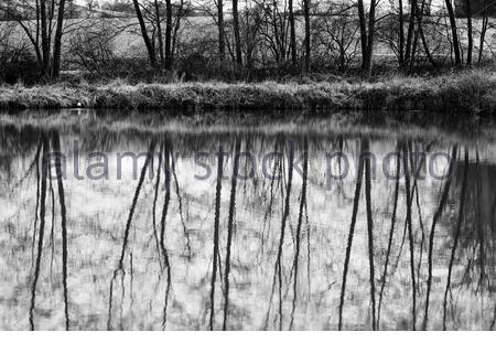 Reflexionen in Schwarz und Weiß auf einem Wintereinbruch in Deutschland Stockfoto
