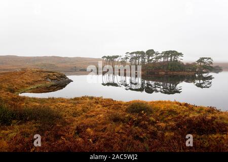 Herbst Reflexion der Twelve Bens im Derryclare Lough, Connemara, County Galway, Irland Stockfoto