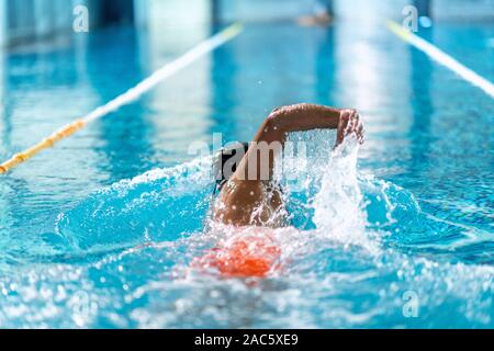 Professionelle Schwimmer, Übung im Hallenbad. Stockfoto