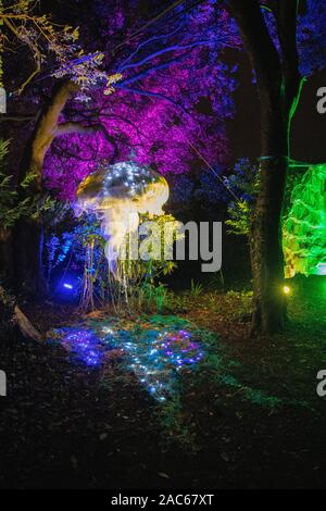 Plymouth, Großbritannien. 30. November 2019. "Beleuchten Licht Festival" läuft vom 28. November bis 1. Dezember im Royal William Yard, Plymouth, mit zusätzlichen Installationen im Barbican und Mount Edgecombe. Credit: Julian Kemp/Alamy Stockfoto