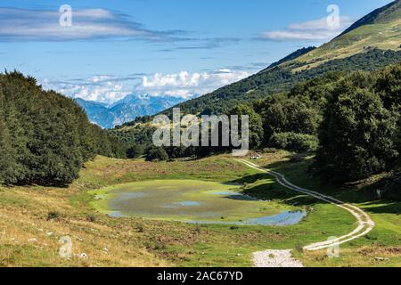 Kleiner See für die Tierhaltung in einem Tal der italienischen Alpen. Monte Baldo in der Nähe von Verona und dem Gardasee, Venetien, Italien, Südeuropa Stockfoto