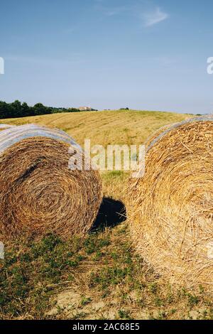 Strohballen in den ländlichen Sommer Ackerland Landschaft Landschaft des Val d'Orcia in der Nähe von Pienza Toskana Italien Europa Stockfoto