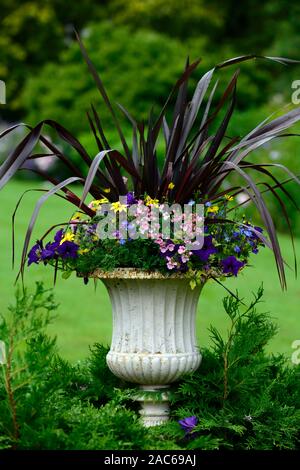 Urn, Gotik, im viktorianischen Stil, Stil, Stil, Pflanzer, Blume, Blumen, Display, Phormium dark Delight, ornamentalen Flachs, Beetpflanzen, Jahrbücher, Mix, Gemischt, container Gard Stockfoto