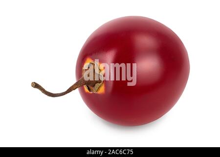 Frische Tamarillo Obst isoliert auf weißem Hintergrund Stockfoto