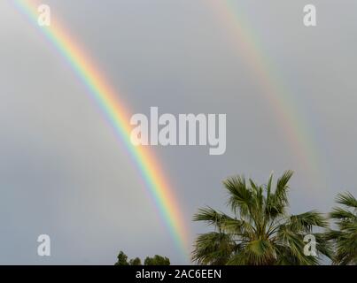 Blick auf einen doppelten Regenbogen über einem bewölkten Himmel mit Palmen am Strand in Almeria in Spanien. Stockfoto