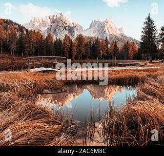 Natur pur. Herrliche Aussicht auf majestätische Berge mit Holz vor Ihnen im Herbst Tag. Pfütze, die vom See mit kleinen Brücke in der Stockfoto