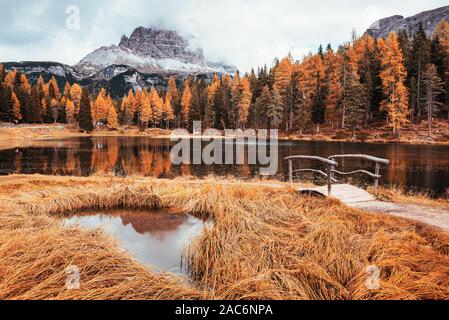 Alle Bäume ist gelb gefärbt. Herrliche Aussicht auf majestätische Berge mit Holz vor Ihnen im Herbst Tag. Pfütze, die vom See mit wenig Stockfoto