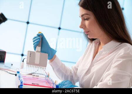 Laden von Samples und läuft einem Agarosegel für Elektrophorese Gelelektrophorese ist der Standard lab Verfahren zur Trennung von DNA Stockfoto