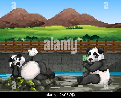 Szene mit zwei pandas im Zoo Abbildung Stock Vektor