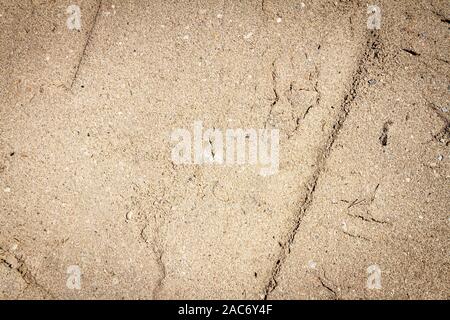 Gelb Sand Kies Textur Hintergrund. In der Nähe von der Straße. Stockfoto