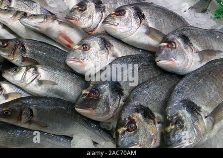 Frische Fische auf Eis Stockfoto